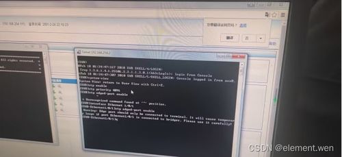 計算機網(wǎng)絡(luò)實驗四 配置vlan和生成樹