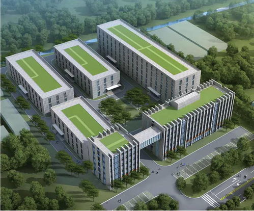 綿陽軟件設計產業駛入快車道 政策加碼與創新突破共筑發展新高地